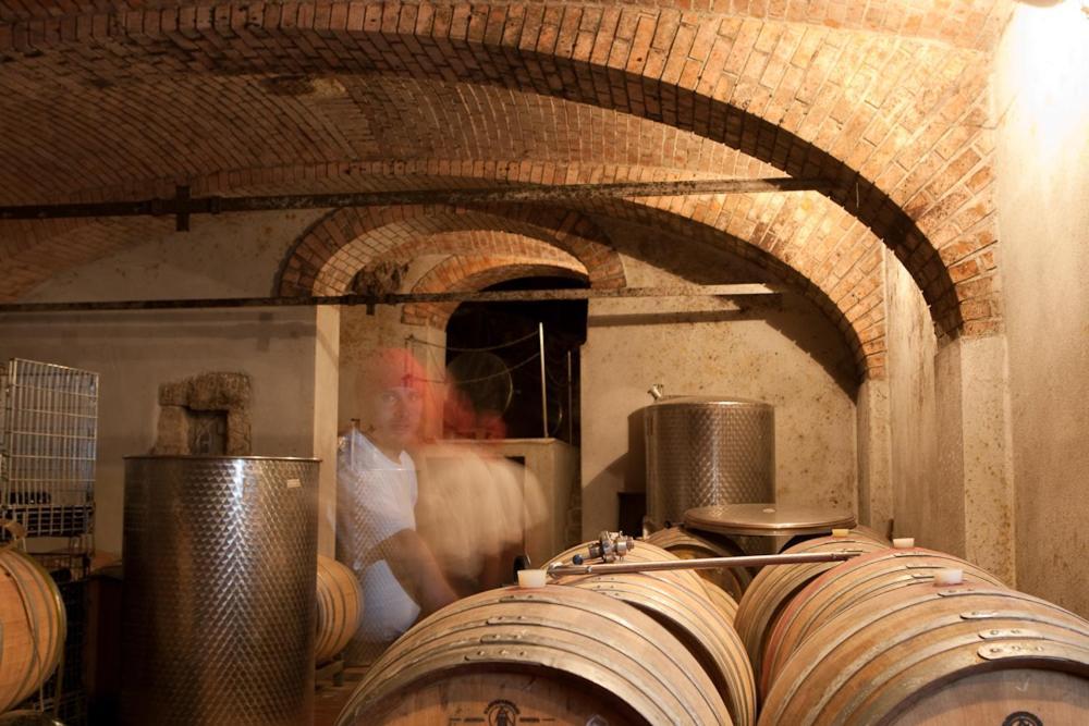 Апартаменты Wohnatelier Im Bioweingut Руст Экстерьер фото